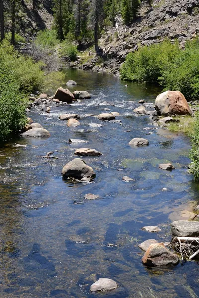 DSC_3661 (Large).JPG